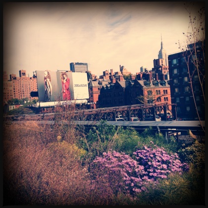 Highline Park. Google this. Go here. Amazingness. An old freight train track that's now a one-mile long "park in the sky."